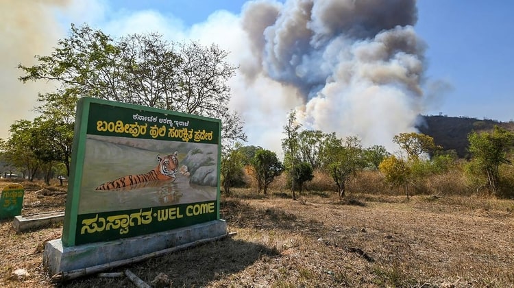 Bandipur Fire