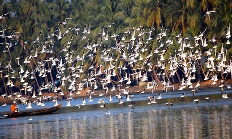Bird Watching Places In India Blog5