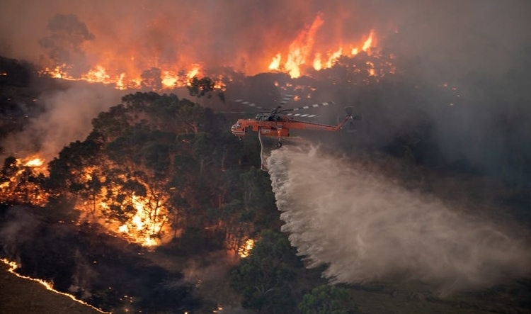 Bushfire Crisis