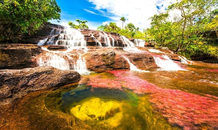 Cano Cristales