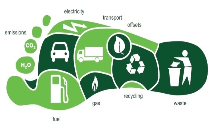 Carbon Footprint