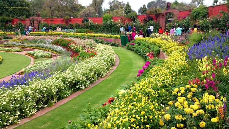 Mughal Gardens Trainman Blog