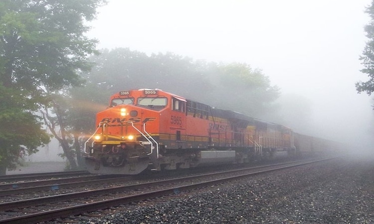 Foggy Tracks