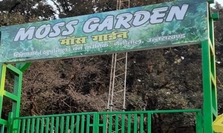 Garden Uttarakhand