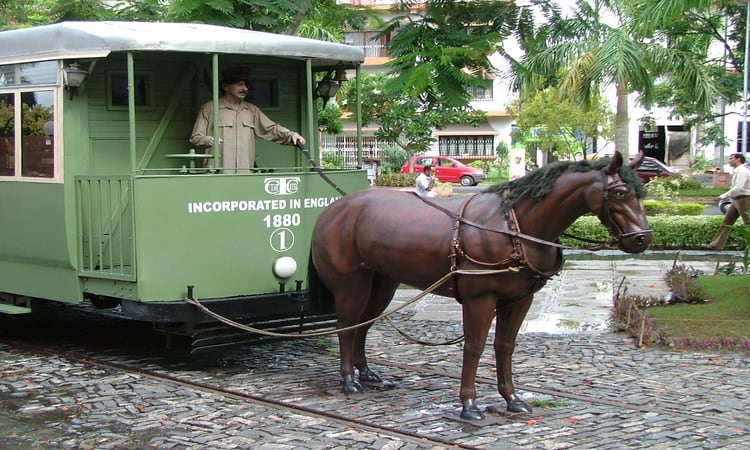 Horse Cars