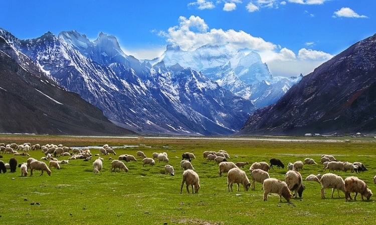 Ladakh Valley