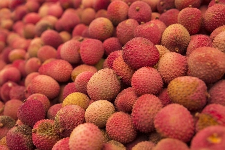 Lychee-Image