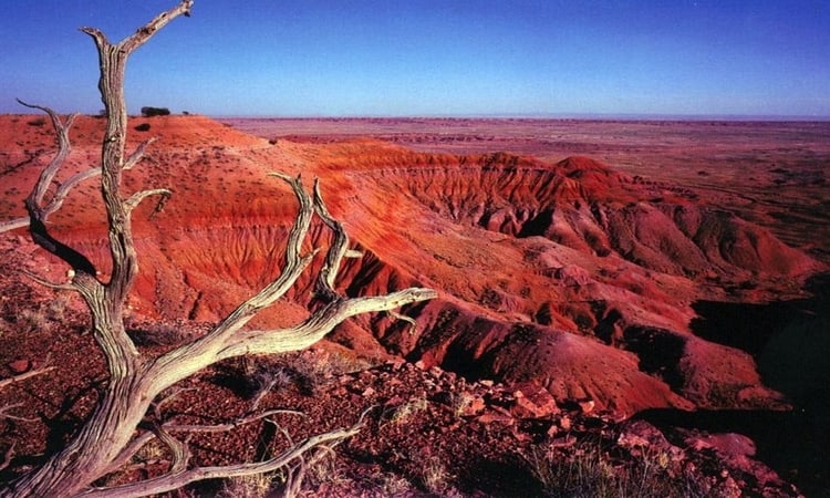 Painted Desert