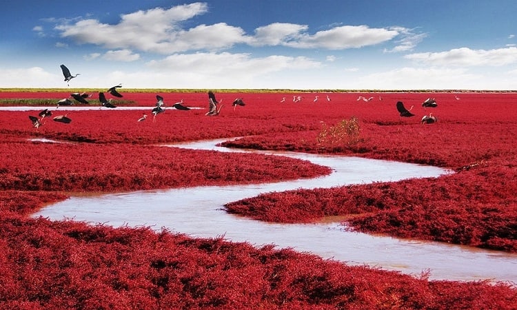 Red Beach