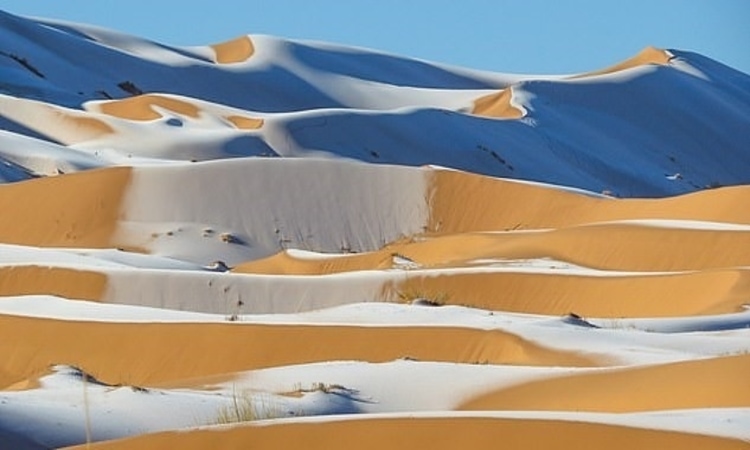 Sahara Snow