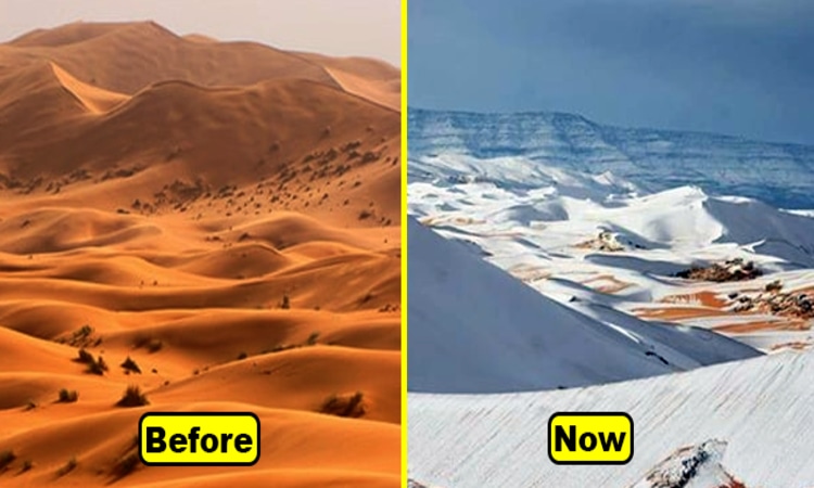 Sahara Transition