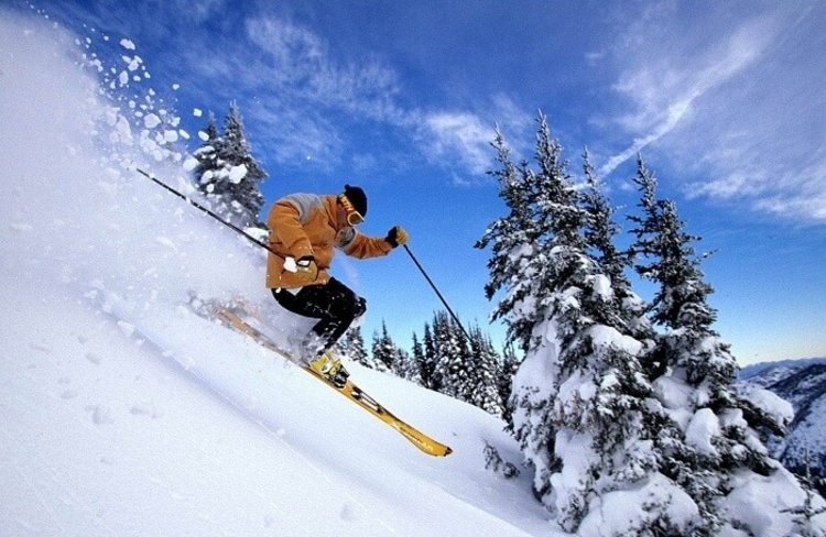 skiing-auli