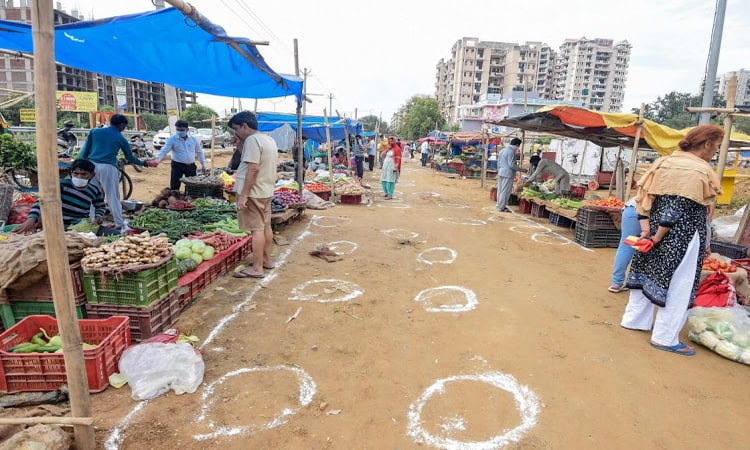 Vegetable Seller